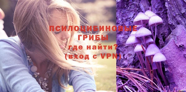 круглые Богородицк