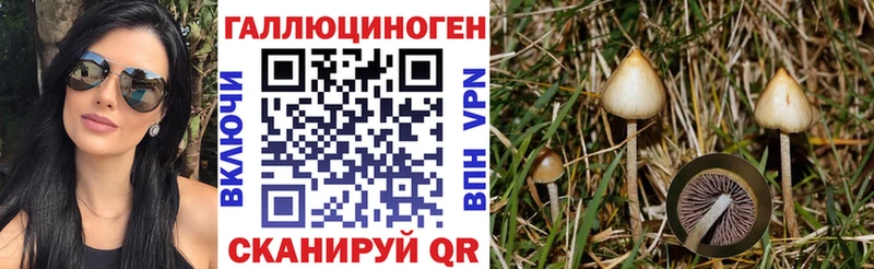Псилоцибиновые грибы ЛСД  купить наркотики сайты  Комсомольск-на-Амуре 
